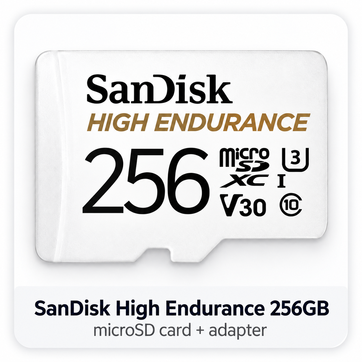 SanDisk High Endurance 256GB microSD card