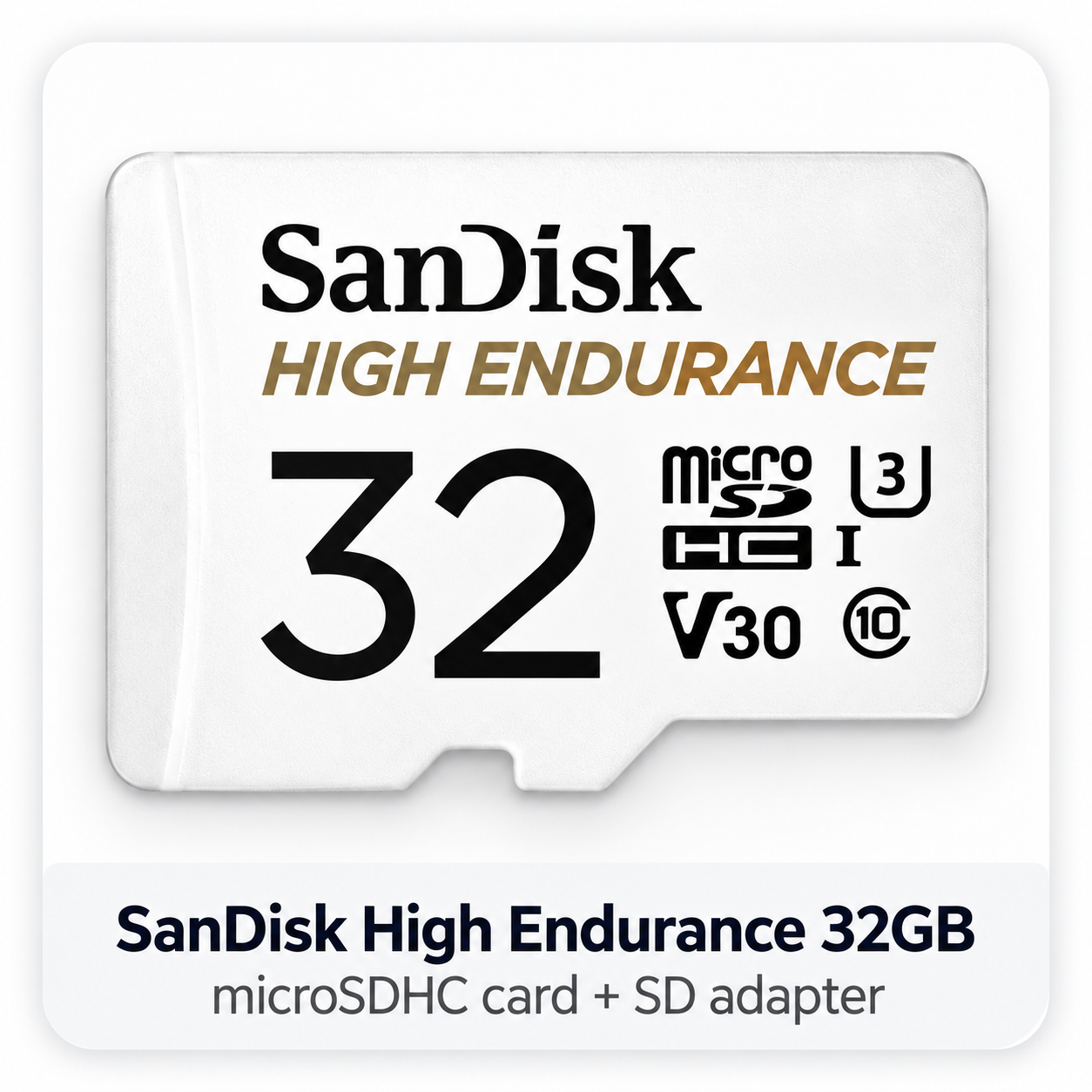 SanDisk High Endurance 32GB microSDHC card